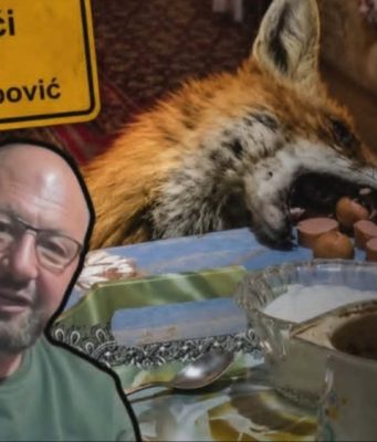 Senzacija na društvenim mrežama: Jusuf Delić pripitomio lisca Milija, dolazi mu u kuću i jede s njim sa stola – “Prvo njemu pa sebi pravim večeru..” (VIDEO)