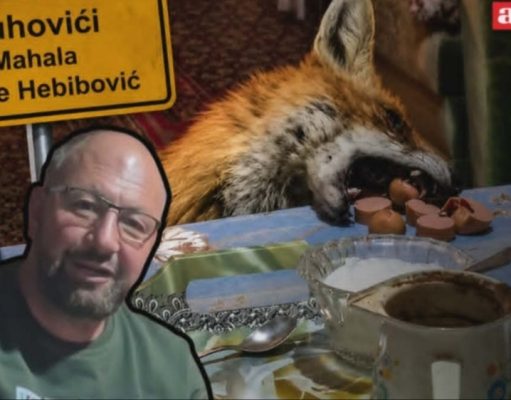 Senzacija na društvenim mrežama: Jusuf Delić pripitomio lisca Milija, dolazi mu u kuću i jede s njim sa stola – “Prvo njemu pa sebi pravim večeru..” (VIDEO)