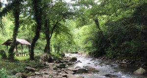 Ljubitelji prirode pozvani na veliku akciju čišćenja rijeke u Jablanici, obezbijeđen i prevoz iz Sarajeva: “Svaka ruka znači više za čistu Doljanku!”