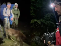 Opomena za sve planinare: Pet maloljetnika iz Češke bez osiguranog smještaja i pripreme završilo u akciji spašavanja GSS-a – Prenj nije za neozbiljne izlete!