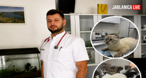 Danas je Svjetski dan mačaka: Veterinar Emin Plećić otkriva šta je ključno za zdrav i dug život ljubimaca: “Mačke jako dobro skrivaju znakove bolesti..”