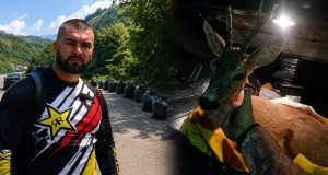 Lijepa priča iz Jablanice: Adnan Đelmo pored ceste pronašao povrijeđenog srndaća i pobrinuo se za njega – “Uživaj, ljepotane..”