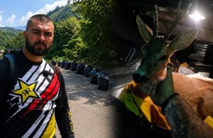 Lijepa priča iz Jablanice: Adnan Đelmo pored ceste pronašao povrijeđenog srndaća i pobrinuo se za njega – “Uživaj, ljepotane..”