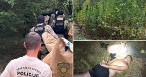 FUP pronašao plantažu sa 177 stabljika kanabisa na području Grabovice, uhapšene dvije osobe