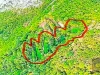 Mjesecima ih pratili, pa krenuli u akciju: Otkrivene više plantaža kanabisa u Drežnici, pogledajte snimke iz zraka(FOTO)
