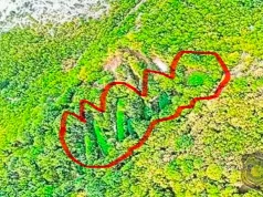 Mjesecima ih pratili, pa krenuli u akciju: Otkrivene više plantaža kanabisa u Drežnici, pogledajte snimke iz zraka(FOTO)
