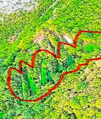 Otkriveni detalji akcije u Drežnici: Mjesecima trajala istraga, otkriveno čak 12 plantaža i zaplijenjeno više od 1.600 stabljika kanabisa(FOTO)