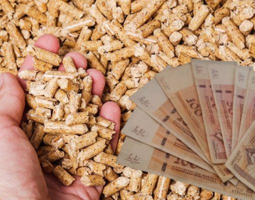 Ogrjev za zimu sve skuplji: Pelet ide do vrtoglave cijene, proizvođači poručuju – „Jeftinije ne može biti“