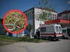 Kod Jablanice mladića ugrizao poskok: Prema navodima porodice, put prema Mostaru nastavio motorom