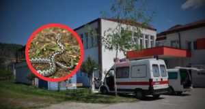 Dom zdravlja Jablanica odgovorio za JablanicaLive nakon navoda o ugrizu zmije: ‘Pacijent bio stabilan, nije bilo indikacije za hitni transport’