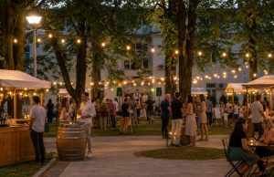 Jablanica spremna za tri dana uživanja: Park & Wine Festival donosi hitove Čole i Balaševića te brojne druge sadržaje