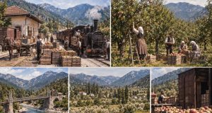 Prije Jablaničkog jezera, Ostrožac je bio poznat po voću: Jabuke i kruške iz ovog kraja išle su prema Monarhiji(FOTO)