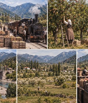 Prije Jablaničkog jezera, Ostrožac je bio poznat po voću: Jabuke i kruške iz ovog kraja išle su prema Monarhiji(FOTO)