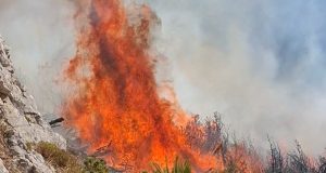 Hrvatski kanaderi izveli 18 izbačaja na Čvrsnici: Vatrogasci iz Jablanice na terenu, požar se širi prema Malom Vilincu i Risovcu(VIDEO)