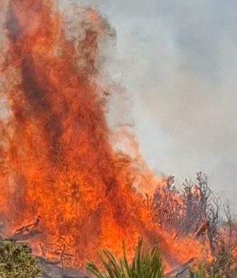 Hrvatski kanaderi izveli 18 izbačaja na Čvrsnici: Vatrogasci iz Jablanice na terenu, požar se širi prema Malom Vilincu i Risovcu(VIDEO)
