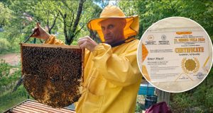 Još jedno zlato stiglo u Jablanicu: Omer Macić nagrađen za vrhunski bagremov med među 450 uzoraka iz 25 zemalja(FOTO)