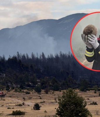 Nakon dramatične višednevne borbe s požarom Blidinje pod kontrolom: Posebne pohvale neumornim vatrogascima iz Jablanice (VIDEO)