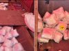 Novi detalji velike policijske akcije u Hercegovini: Zaplijenjeno oko 100 kilograma droge, uhapšen muškarac iz Konjica (FOTO)