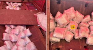 Novi detalji velike policijske akcije u Hercegovini: Zaplijenjeno oko 100 kilograma droge, uhapšen muškarac iz Konjica (FOTO)
