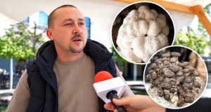 Iz Irske se vratio u BiH i pokrenuo neobičan posao: Ivan Mikić uzgaja više od 30 vrsta gljiva, među njima i one koje mnogi nikada nisu vidjeli(VIDEO)