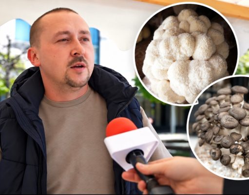Iz Irske se vratio u BiH i pokrenuo neobičan posao: Ivan Mikić uzgaja više od 30 vrsta gljiva, među njima i one koje mnogi nikada nisu vidjeli(VIDEO)